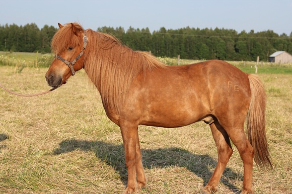 Klikkaamalla seuraava kuva