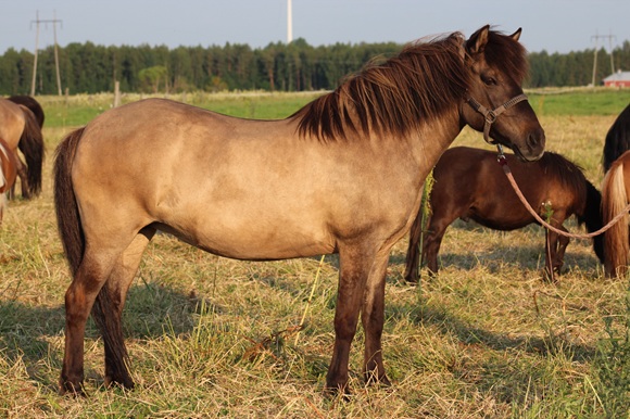 Klikkaamalla seuraava kuva