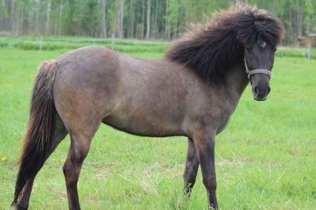 Klikkaamalla seuraava kuva